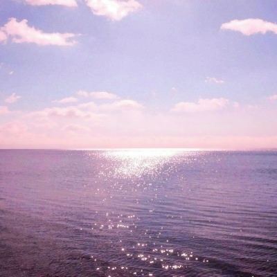 开云电竞app下载